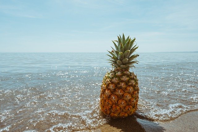 海の近くに置かれたパイナップル